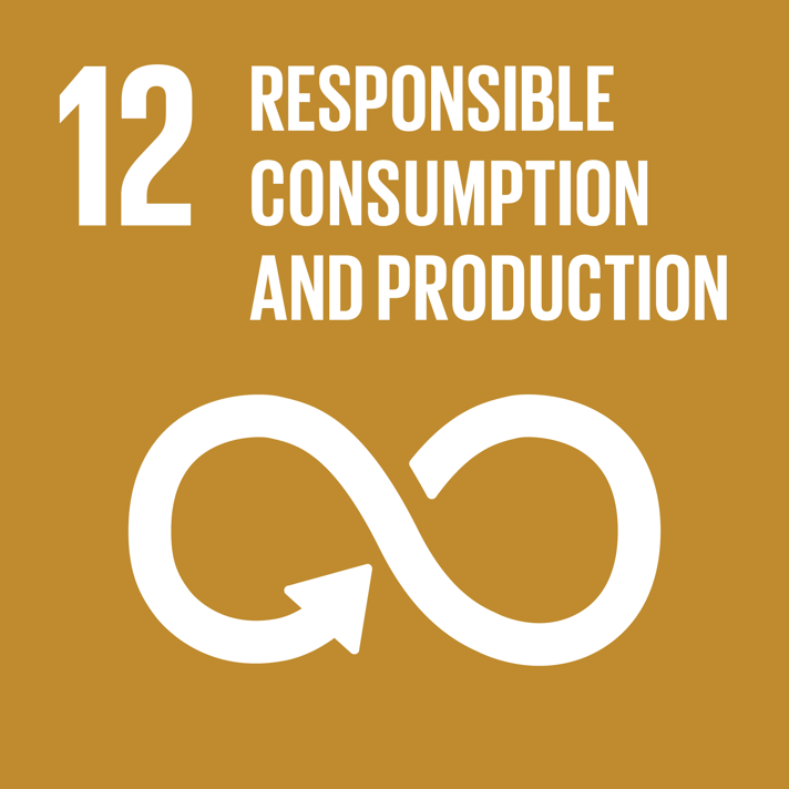 UN goals 4 logo