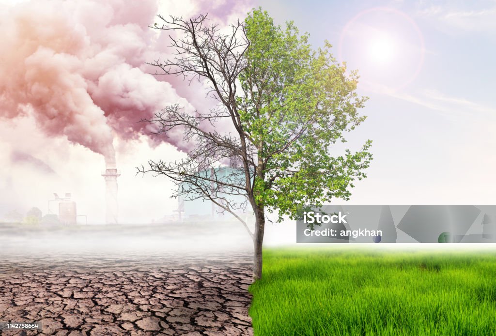 Effects of climate change